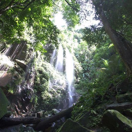 Belum Rainforest Resort Gerik Eksteriør bilde