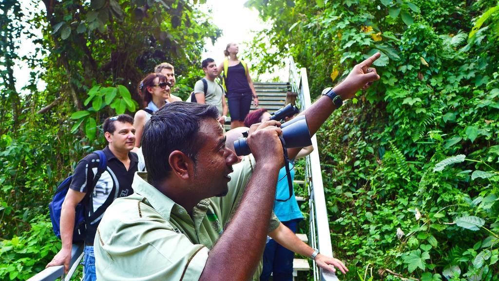 Belum Rainforest Resort Gerik Eksteriør bilde