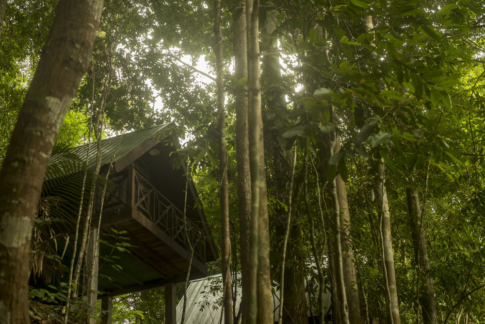 Belum Rainforest Resort Gerik Eksteriør bilde