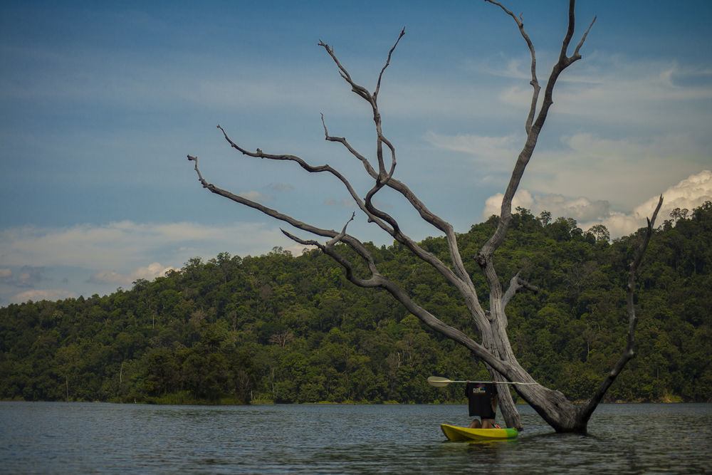 Belum Rainforest Resort Gerik Eksteriør bilde
