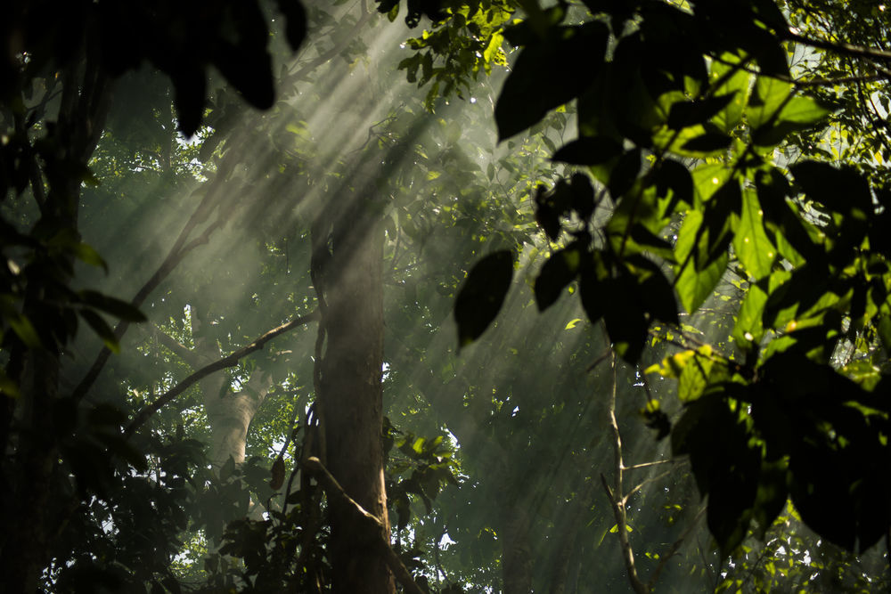 Belum Rainforest Resort Gerik Eksteriør bilde